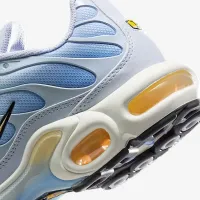 Nike Air Max Plus жіноча Кросівки колір сірий