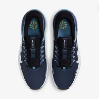 Nike Free для гольфу NN для гольфу Кросівки (Wide) блакитний