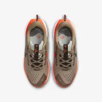 Nike Pegasus Trail 5 Big детские Trail Running Кроссовки цвет коричневый