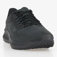 Кроссовки Nike Air Zoom Pegasus 39 DH4071-006 - Черные