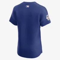Chicago Cubs мужские Nike Dri-FIT ADV MLB Elite Jersey синий