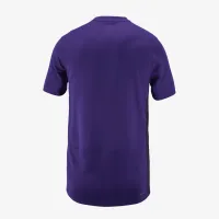 Orlando Pride 2024 Stadium Secondary Big дитячі Nike Dri-FIT NWSL Replica Jersey колір фіолетовий