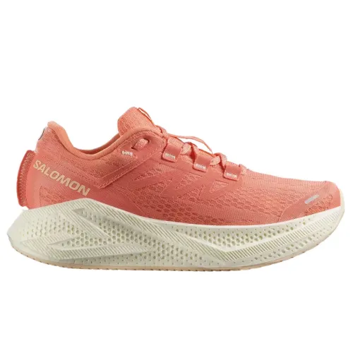 Кроссовки для бега Мужские Salomon AERO GLIDE 3 (478107)