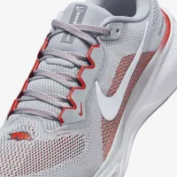 Arkansas Pegasus 41 чоловічі Nike College Road Running Кросівки колір сірий