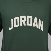 Nike Jordan Flight Essentials мужские футболка цвет зеленый