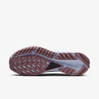 Nike Pegasus Trail 4 жіноча Trail Running взуття Grey