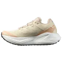 Кроссовки для бега Женские Salomon AERO GLIDE 3 GRVL (478125)