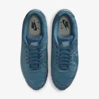 Nike Air Max 90 чоловічі Кросівки блакитний