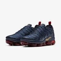 Nike Air VaporMax Plus чоловічі Кросівки блакитний