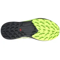 Кросівки для бігу Чоловічі Salomon SENSE RIDE 5 GTX Gore-Tex (473128)