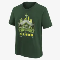 Seattle Storm Max90 Big детские Nike WNBA футболка цвет зеленый