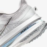 Nike Pegasus Premium женская Road Running Кроссовки цвет серый