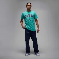 Nike Jordan мужские футболка цвет зеленый