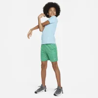Nike Multi Big дитячі (для хлопчиків) Dri-FIT Mesh шорти колір зелений