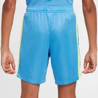 Nike Trophy23 Big дитячі Dri-FIT шорти блакитний