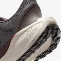 Nike Pegasus EasyOn чоловічі Road Running Кросівки колір сірий