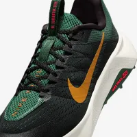Nike Wildhorse 10 чоловічі Trail Running Кросівки колір чорний