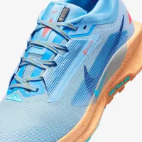 Nike Pegasus Trail 5 GORE-TEX чоловічі Waterproof Trail Running Кросівки блакитний