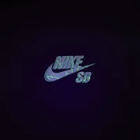 Nike SB футболка колір фіолетовий