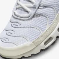 Nike Air Max Plus Кросівки колір сірий