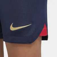 FC Barcelona 2022/23 Stadium Home Big детские Nike Dri-FIT Soccer шорты синий