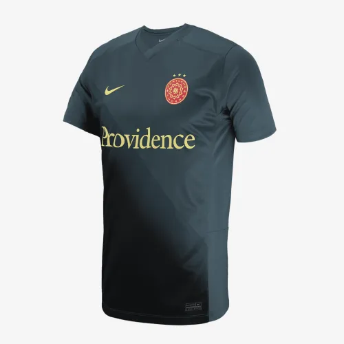 Portland Thorns FC 2024 Stadium Secondary Big детские Nike Dri-FIT NWSL Replica Jersey цвет серый