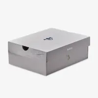 Nike LeBron XXII SE Big детские баскетбольные Кроссовки синий