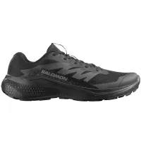 Кроссовки для бега Мужские SALOMON ALPHAGLIDE (479483)