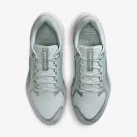 Nike Pegasus 41 GORE-TEX мужские Waterproof Road Running Кроссовки цвет серый