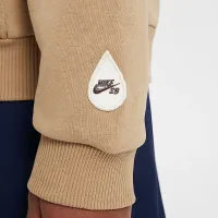 Nike SB EasyOn Big дитячі оверсайз Pullover Skate Толстовка з капюшоном колір коричневий