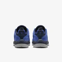 Nike SB Vertebrae чоловічі Кросівки блакитний