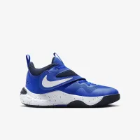 Nike Team Hustle D 11 Big детские баскетбольные Кроссовки синий