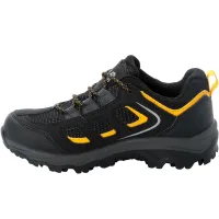 Кроссовки для треккинга Мужские Jack Wolfskin VOJO TEXAPORE LOW K (4042191_6361)