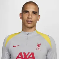 Liverpool FC Strike Third мужские Nike Dri-FIT Soccer Drill Top цвет серый
