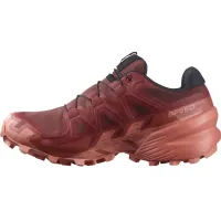 Кросівки для бігу w terenie SALOMON SPEEDCROSS 6 GTX Gore-tex (475843)