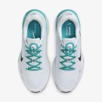 Nike Journey Run чоловічі Road Running Кросівки колір білий