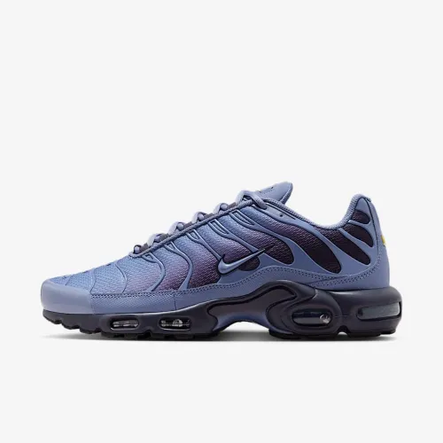 Nike Air Max Plus мужские Кроссовки синий
