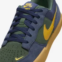 Nike SB Force 58 Skate Кросівки блакитний