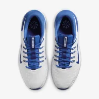 Nike Free для гольфу NN для гольфу Кросівки (Wide) блакитний