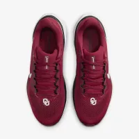 Oklahoma Pegasus 41 мужские Nike College Road Running Кроссовки цвет красный