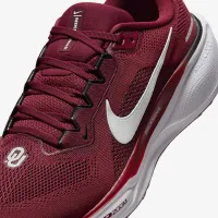 Oklahoma Pegasus 41 мужские Nike College Road Running Кроссовки цвет красный