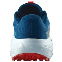 Кроссовки для бега Мужские SALOMON ALPHAGLIDE (477243)