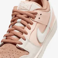 Nike SB Dunk Low Pro Premium Skate Кроссовки цвет коричневый