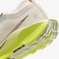 Nike Pegasus Trail 5 GORE-TEX жіноча Waterproof Trail Running Кросівки колір коричневий