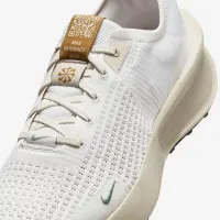 Nike Interact Run SE чоловічі Road Running Кросівки колір сірий