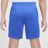 Nike Trophy23 Big детские Dri-FIT шорты синий