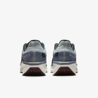 Nike Winflo 11 GORE-TEX мужские Waterproof Road Running Кроссовки цвет серый