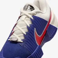 Nike GP Challenge Pro Premium мужские Hard Court Tennis Кроссовки цвет фиолетовый