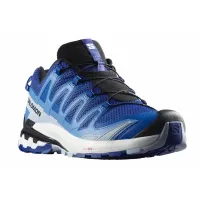 Кросівки для бігу Чоловічі Salomon XA PRO 3D V9 (472721)