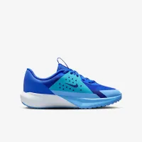Nike Sonic Fly Big дитячі Running Кросівки блакитний